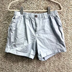 Chubbies Shorts Men’s Medium Light Blue Regular Fit 5.5”